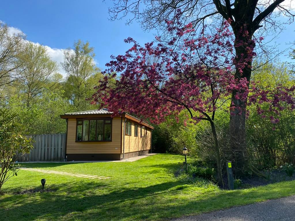 Luxe Chalet huur 5 sterren camping Witterzomer Top locatie, Tv, In bos, Dorp