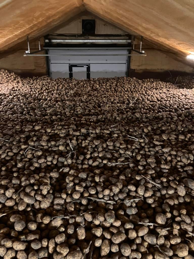 Agria aardappels, Zakelijke goederen, Agrarisch | Aardappelen, Groenten, Fruit en Vlees, Ophalen