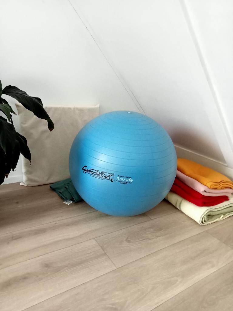Gymnastiekbal Pezzi met pomp, Ophalen, Gebruikt, Benen, Fitnessbal
