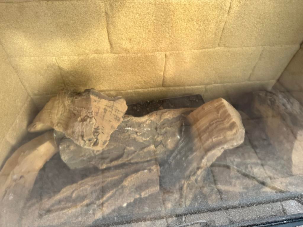 Dru Passeo rce gashaard inbouwhaard houthaard, Gebruikt, Dru, Holland, Ophalen of Verzenden