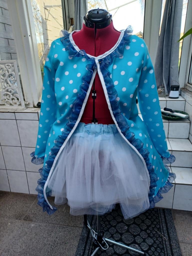 Bont karnavalspakje, Ophalen of Verzenden, Zo goed als nieuw, Maat 36 (S), Carnaval