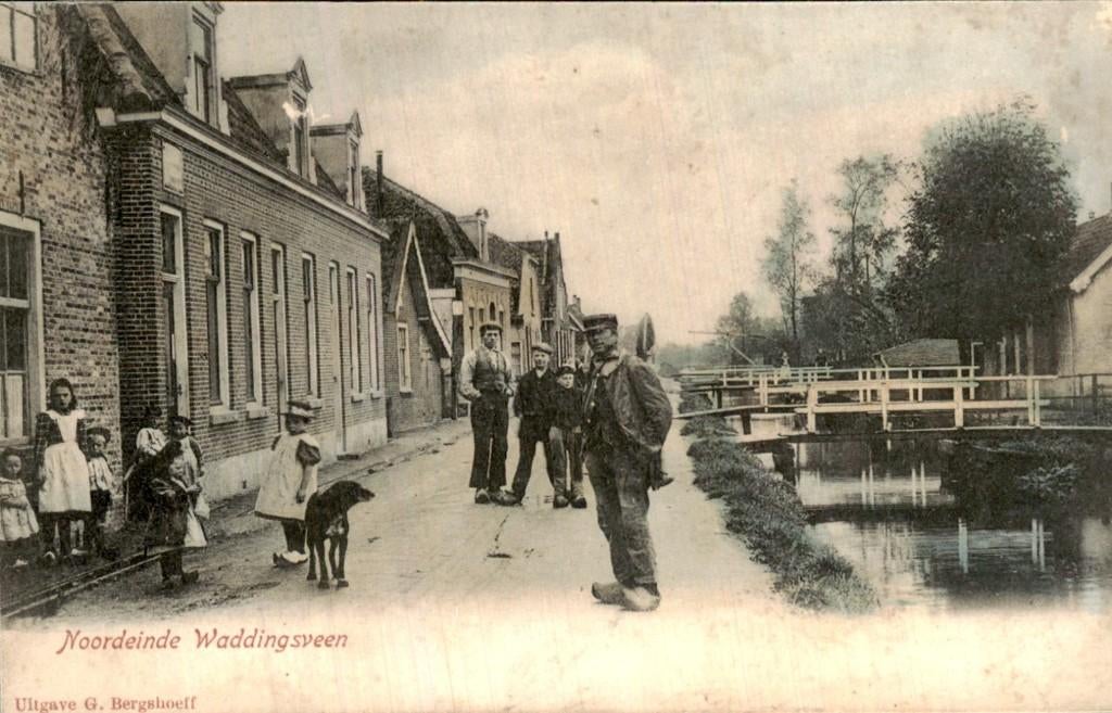Waddingsveen Waddinxveen - Noordeinde Kleur hond, Ophalen of Verzenden, Voor 1920, Gelopen, Zuid-Holland