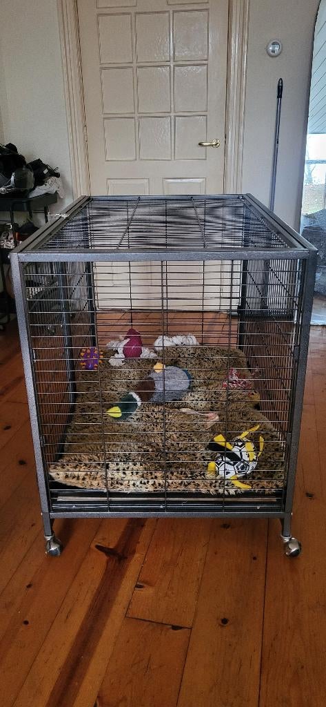 Hondenbench op wieltjes, Ophalen, Zo goed als nieuw