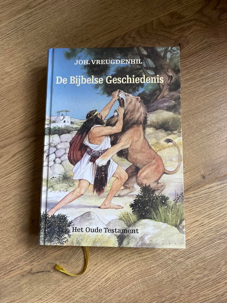 Bijbelse Geschiedenis - Joh. Vreugdenhil, Boeken, Ophalen of Verzenden, Gelezen, Christendom | Katholiek