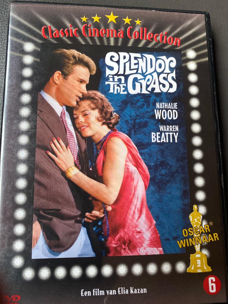 Classic Cinema Collection : Splendor In The Grass ( dvd ), Alle leeftijden, Ophalen of Verzenden, Zo goed als nieuw, Overige gebieden