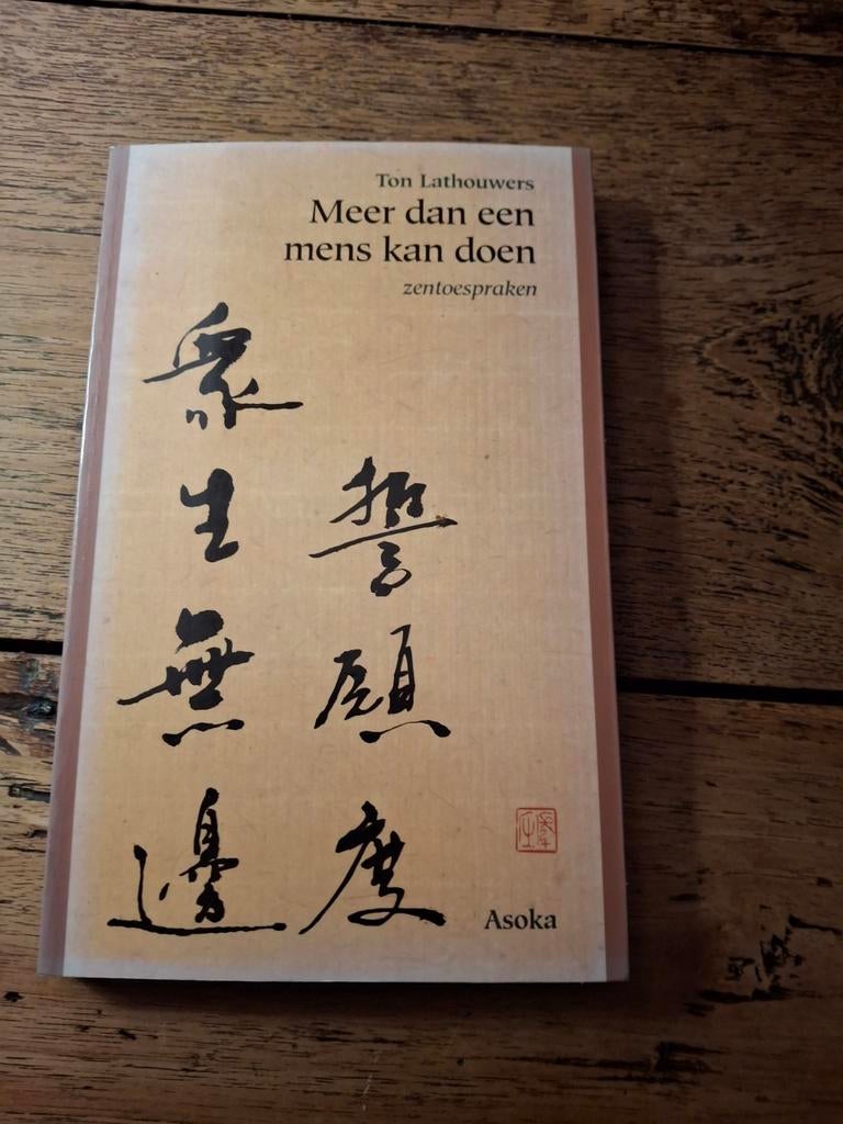 T. Lathouwers - Meer dan een mens kan doen, Gelezen, Achtergrond en Informatie, Astrologie, Ophalen of Verzenden