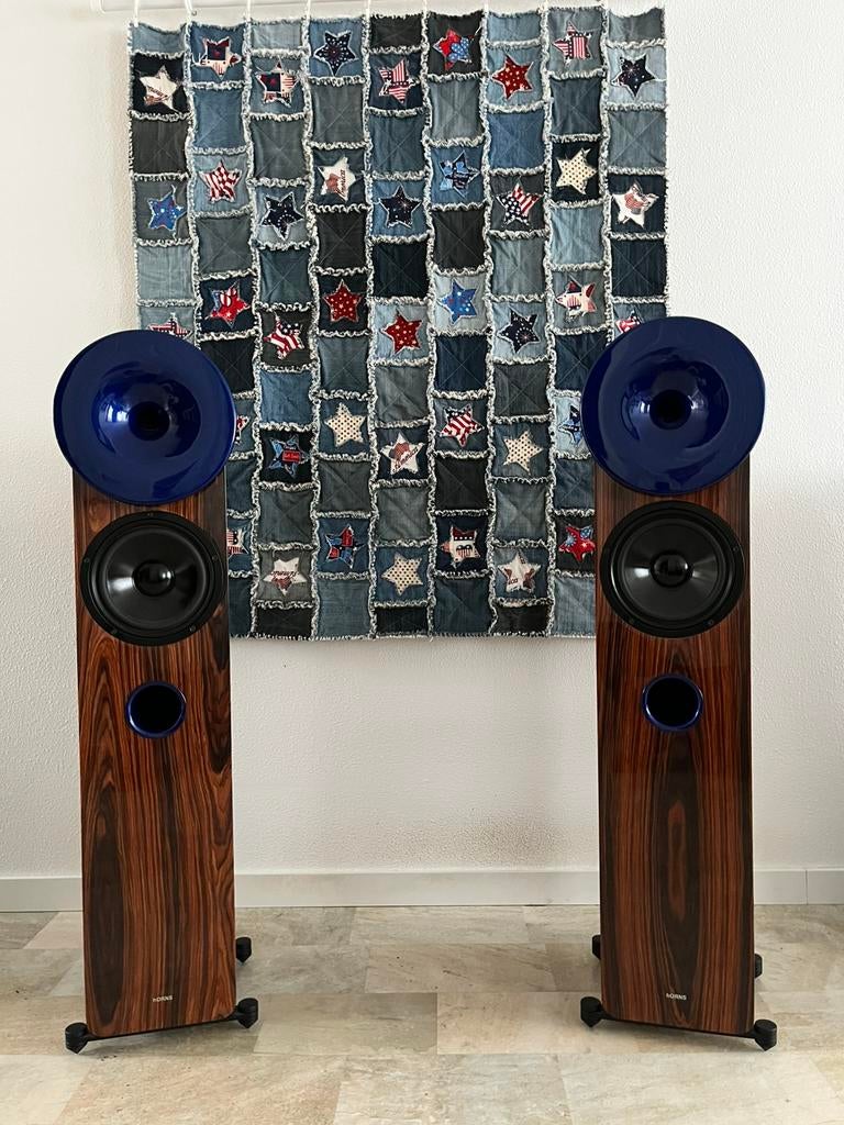 hORNS luidsprekers, Overige merken, Ophalen of Verzenden, Zo goed als nieuw, 120 watt of meer