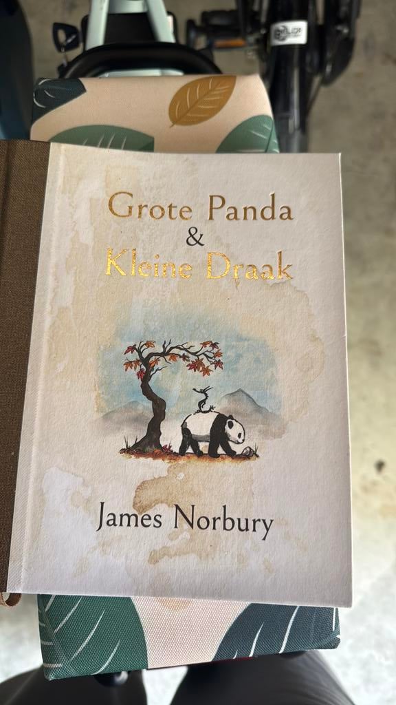 Grote panda en kleine draak. Fikse waterschade, Boeken, Ophalen, Zo goed als nieuw
