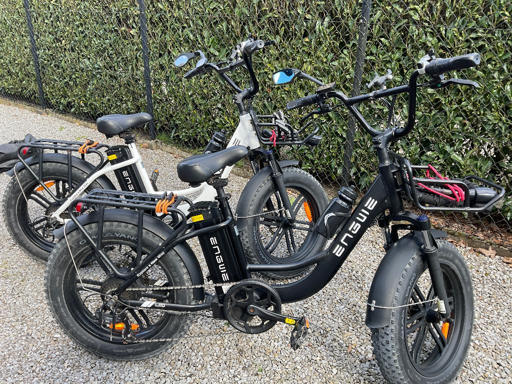 Fatbikes 2 stuks, Overige merken, Ophalen of Verzenden, Zo goed als nieuw, 59 cm of meer