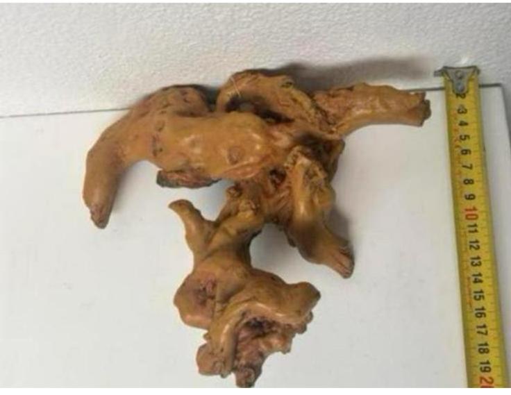 NIEUW: Sierelement nep kienhout aquadella!, Dieren en Toebehoren, Ophalen of Verzenden, Nieuw, Decoratie