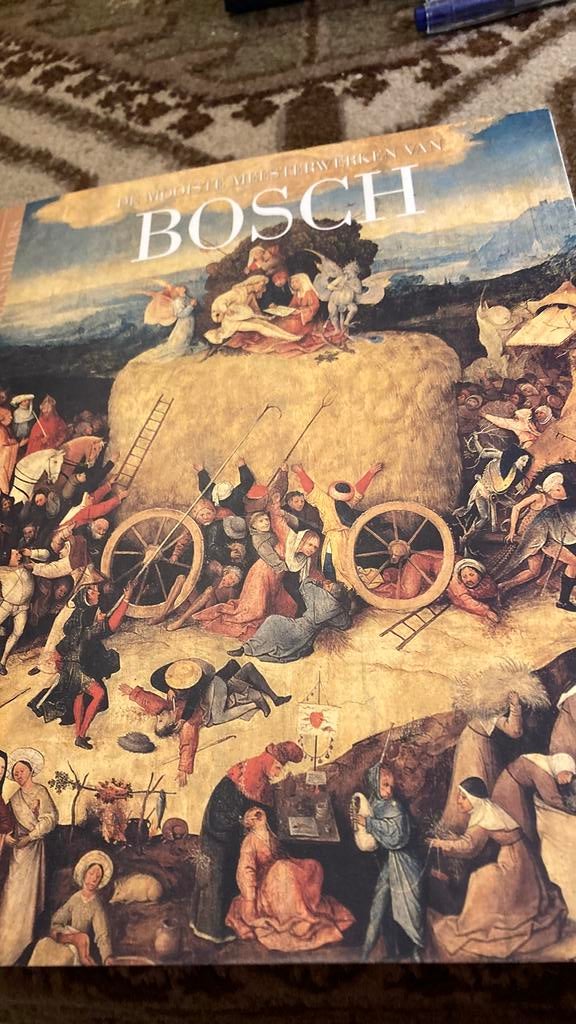 Bosch (Jeroen Bosch), Ophalen of Verzenden, Zo goed als nieuw