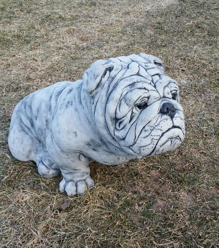 Prachtige Engelse Bulldog Tuinbeeld, Ophalen, Nieuw, Steen, Dierenbeeld