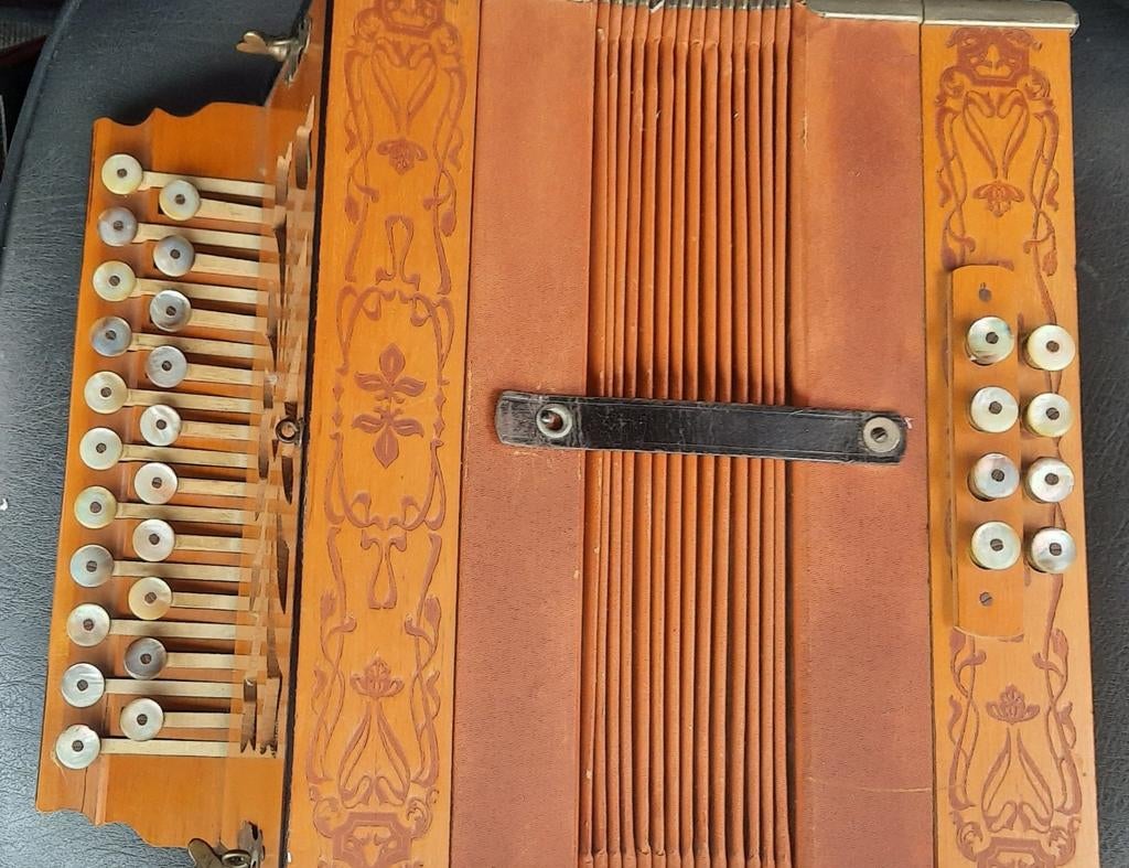 Trekzak Diatoniche accordeon, Ophalen of Verzenden, Overige formaten, Overige merken