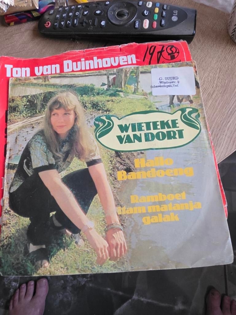 Wieteke van Dort - Hallo Bandoeng / Ramboet, Ophalen of Verzenden, Gebruikt, 7 inch