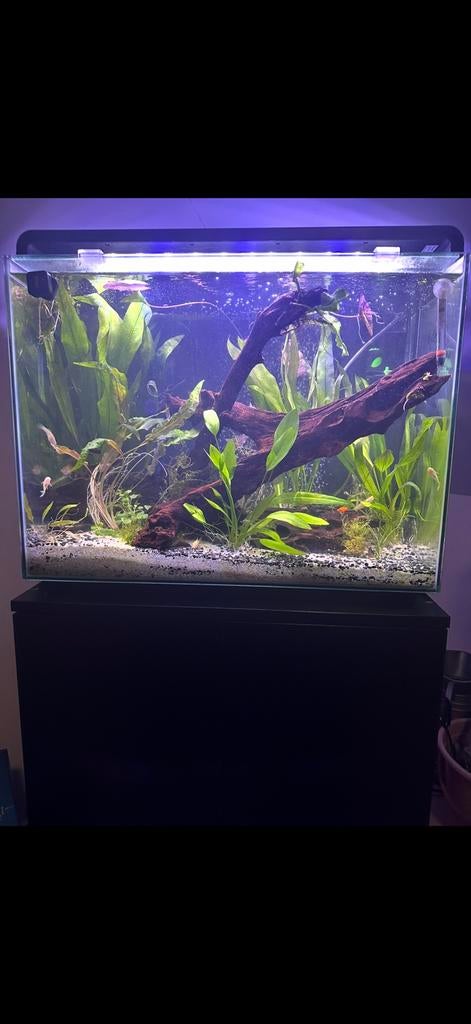 Superfish home 110 aquarium, Ophalen, Gebruikt, Leeg aquarium