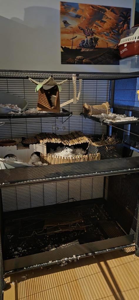 Rattenkooi Savic pets favourite, Ophalen, Kooi, Fret, 90 cm of meer