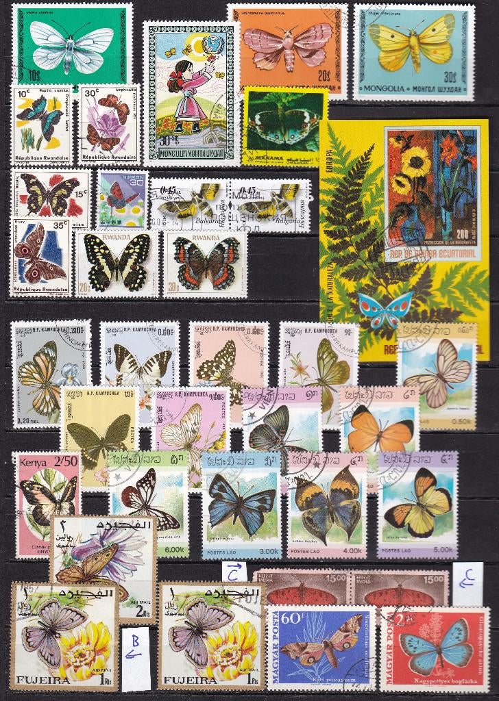 0411) ca 36x vlinders, motten e.d., Ophalen of Verzenden, Dier of Natuur