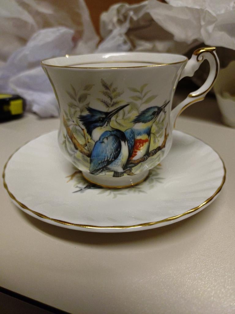 Prachtige kop en schotel, BIRDS OF AMERICA, Antiek en Kunst, Antiek | Porselein, Ophalen of Verzenden