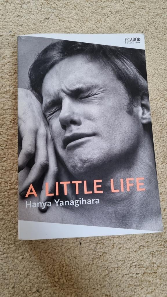 A little Life Hanya Yanagihara paperback  English Engels, Boeken, Ophalen, Gelezen, Hanya