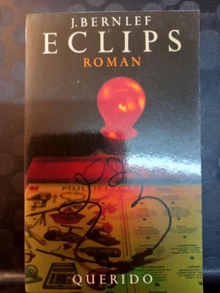 J.Bernlef : diverse titels - zie beschrijving + foto's, Ophalen of Verzenden, Zo goed als nieuw