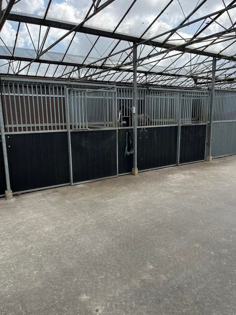 Corton boxen, Dieren en Toebehoren, Stalling en Weidegang