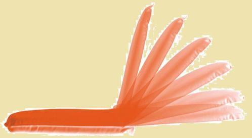 4 typen 6 standen klapbare zitstoelen. Prijzen vanaf € 67,95, Watersport en Boten, Ophalen of Verzenden, Nieuw, Interieur en Kussens