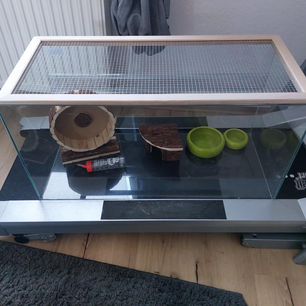 Nieuwe Hamsterkooi, Kooi, Muis, Ophalen, Minder dan 60 cm