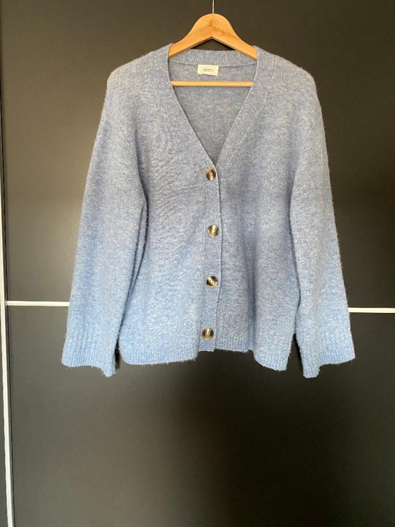 VEST AXIOME WOL LICHTBLAUW maat L, Kleding | Dames, Maat 38/40 (M), Blauw, Axiome, Ophalen of Verzenden