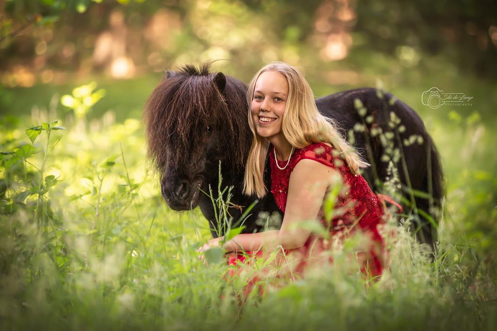 Pensionstalling gezocht shetlander Groesbeek/landelijk, Weidegang, 1 paard of pony