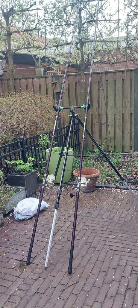 Strandvisset erg kompleet, Ophalen, Complete set