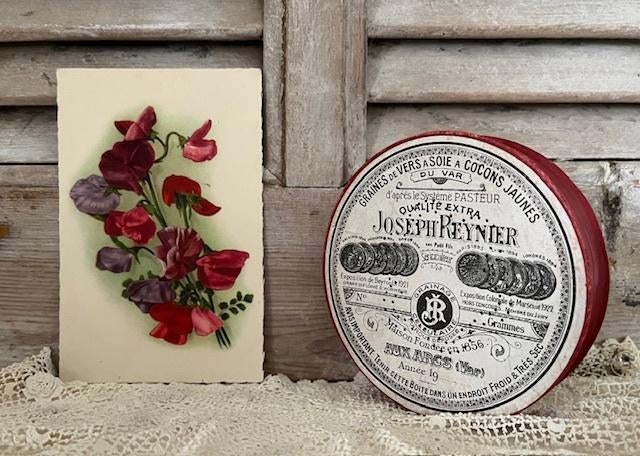 Origineel doosje Graines de Vers à Soie à cocons jaunes, Ophalen of Verzenden