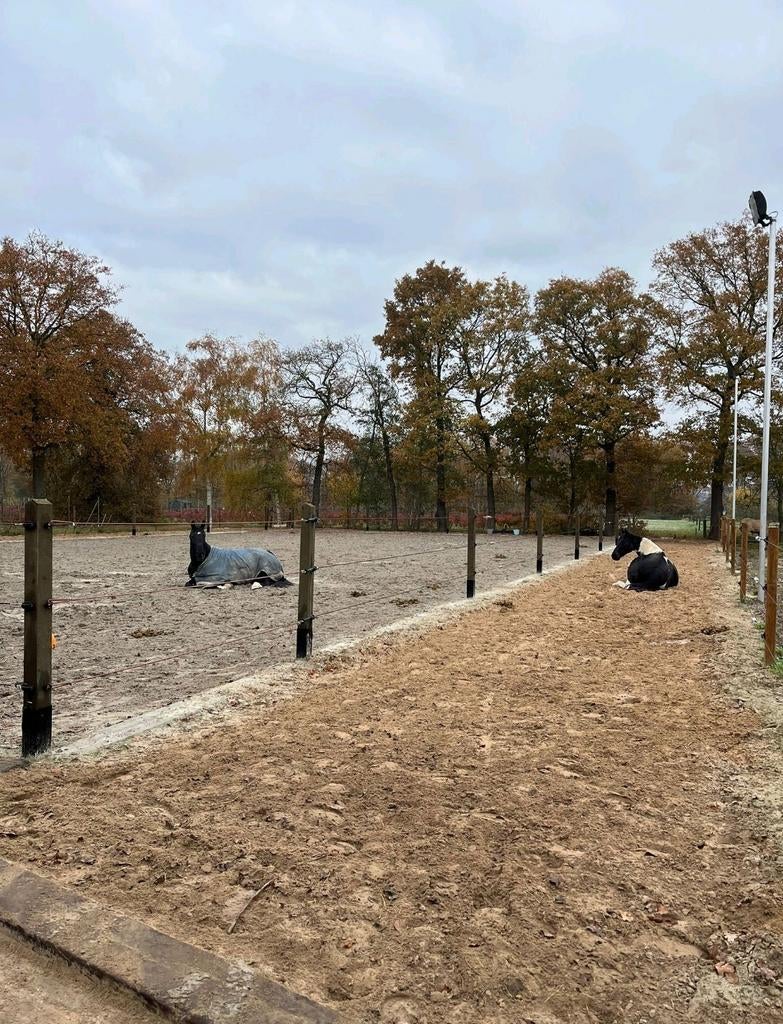 24/7 buiten stalling, Dieren en Toebehoren, Stalling