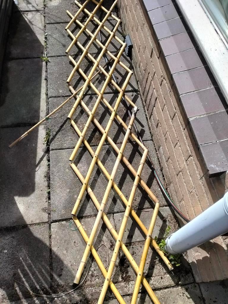 Trellis van bamboe, Tuin en Terras, Tuinschermen, Ophalen, Gebruikt, Overige materialen, 200 cm of meer