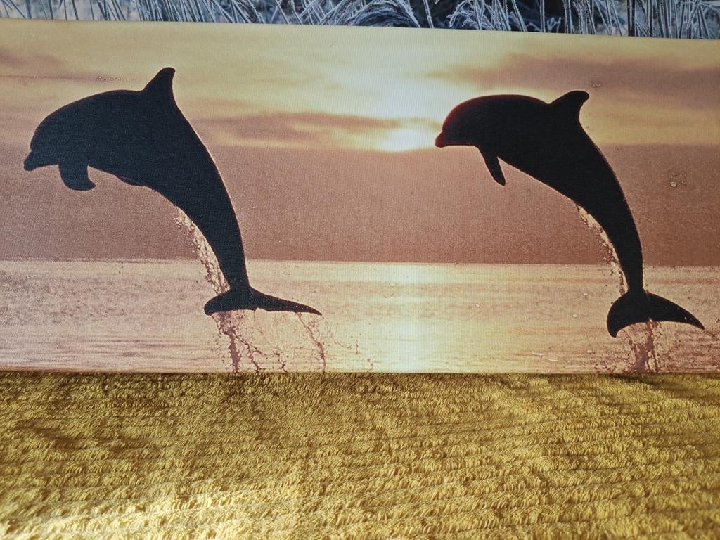 Schilderij met twee springende dolfijnen, Huis en Inrichting, Woonaccessoires | Schilderijen, Tekeningen en Foto's, 125 cm of meer