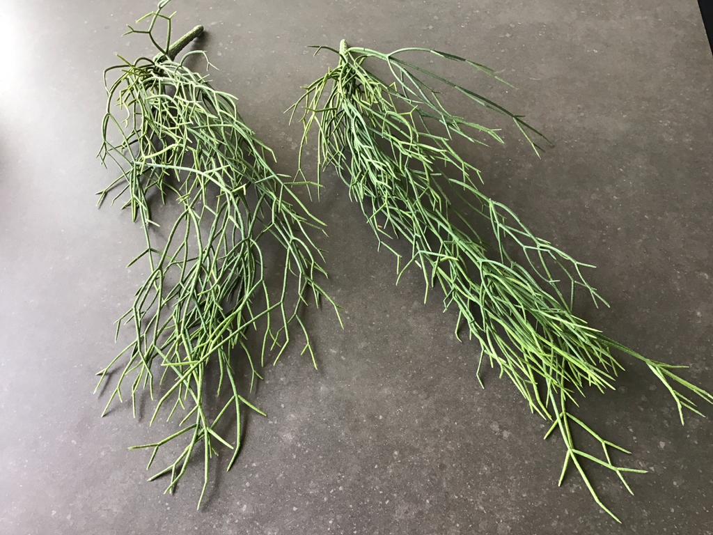 Kunstgroen voor Binnen & Buiten - Realistisch & Duurzaam, Ophalen of Verzenden, Zo goed als nieuw, Binnen