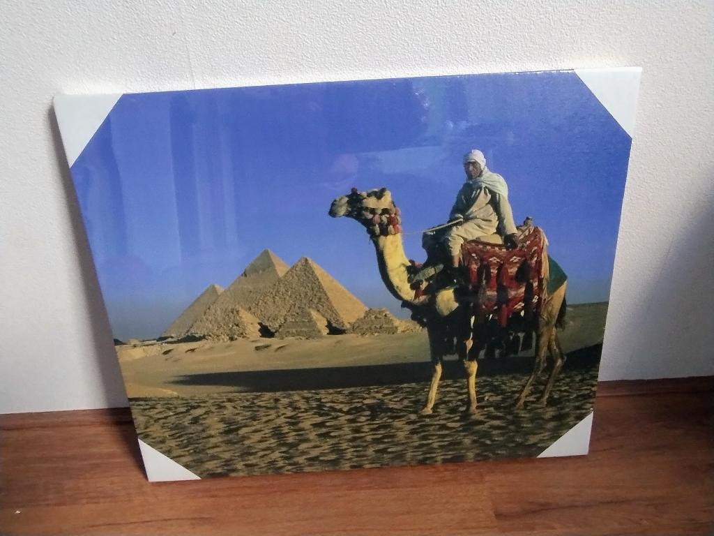 poster pyramide kameel / drommedaris arabier nieuw, Ophalen, Minder dan 50 cm, Oorspronkelijke maker, Nieuw