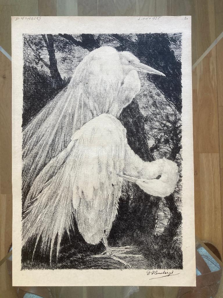 Litho D. Homberg uit 1935 met twee zilverreigers, Ophalen of Verzenden