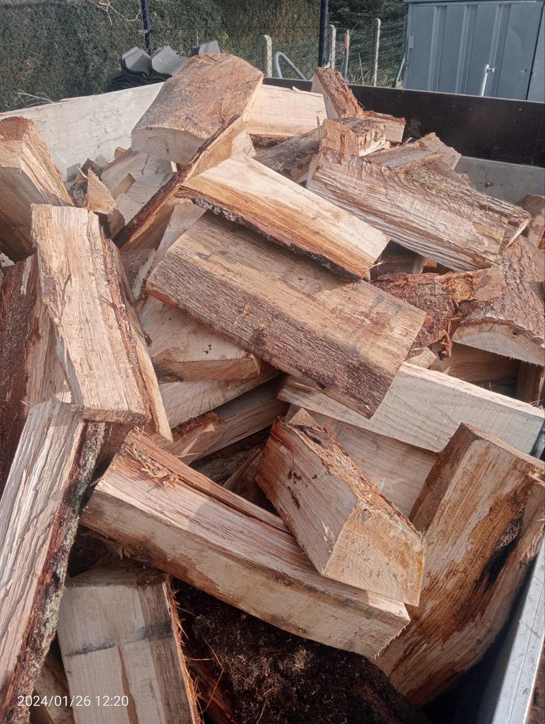 Eiken Brandhout - Gekloofd, Tuin en Terras, Haardhout, Minder dan 3 m³, Ophalen, Eikenhout, Blokken