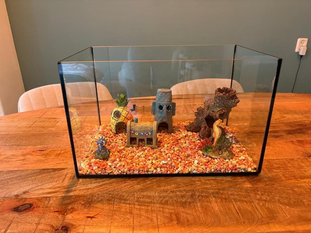 Aquarium 28x45x28 (LxBxH), Ophalen, Zo goed als nieuw, Leeg aquarium