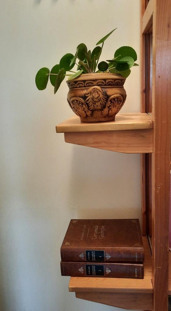 Lundia Zwevende schapjes 30- 40 - 60 cm, Minder dan 50 cm, Ophalen of Verzenden, Zo goed als nieuw, Minder dan 25 cm