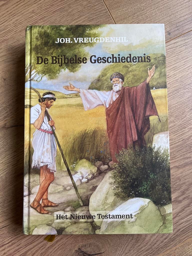 De Bijbelse Geschiedenis - Joh. Vreugdenhil, Boeken, Ophalen of Verzenden, Gelezen, Christendom | Katholiek