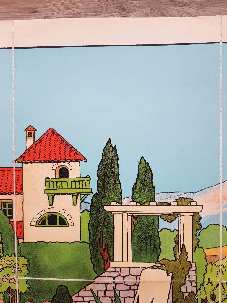 Druivenpluk oude schoolplaat uit Frankrijk litho op canvas., Antiek en Kunst, Ophalen of Verzenden