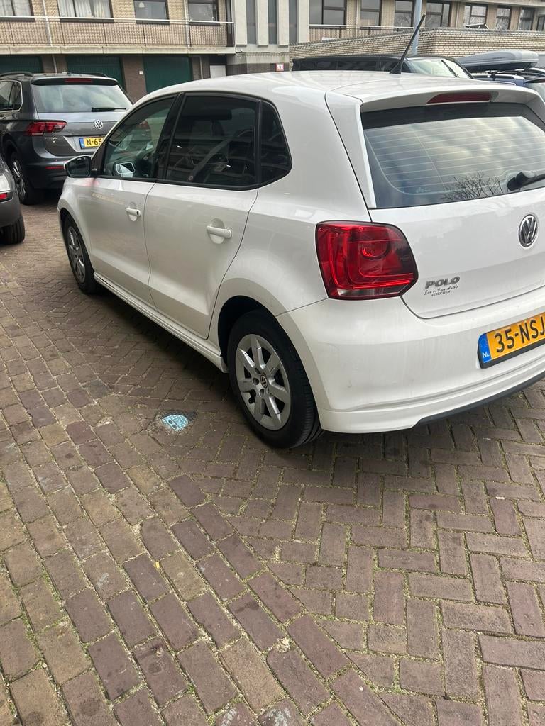 Volkswagen Polo 1.2 TDI 75PK 5D Bluemotion 2011 Wit, Auto's, Volkswagen, Voorwielaandrijving, 1199 cc, Wit, Origineel Nederlands