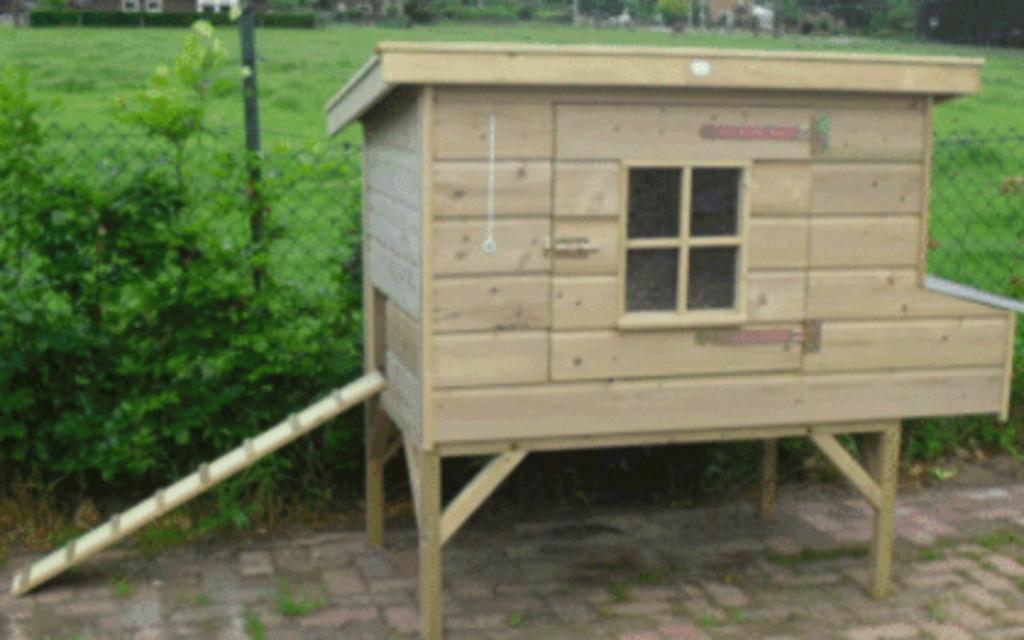 Kippenhok met legnest kippenren met broedhok nachthok kippen, Ophalen, Nieuw, Kippenhok of Kippenren