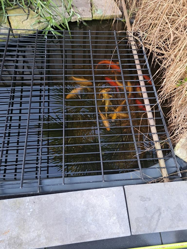 Complete vijver polyester bak van 2.4 x 1.5 met toebehoren, Tuin en Terras, Vijvers, Ophalen of Verzenden