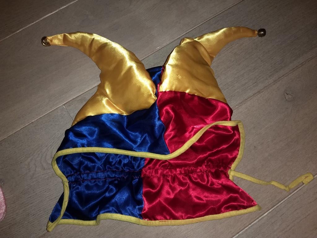 Carnaval Narrenmuts nar muts, Ophalen of Verzenden, Zo goed als nieuw