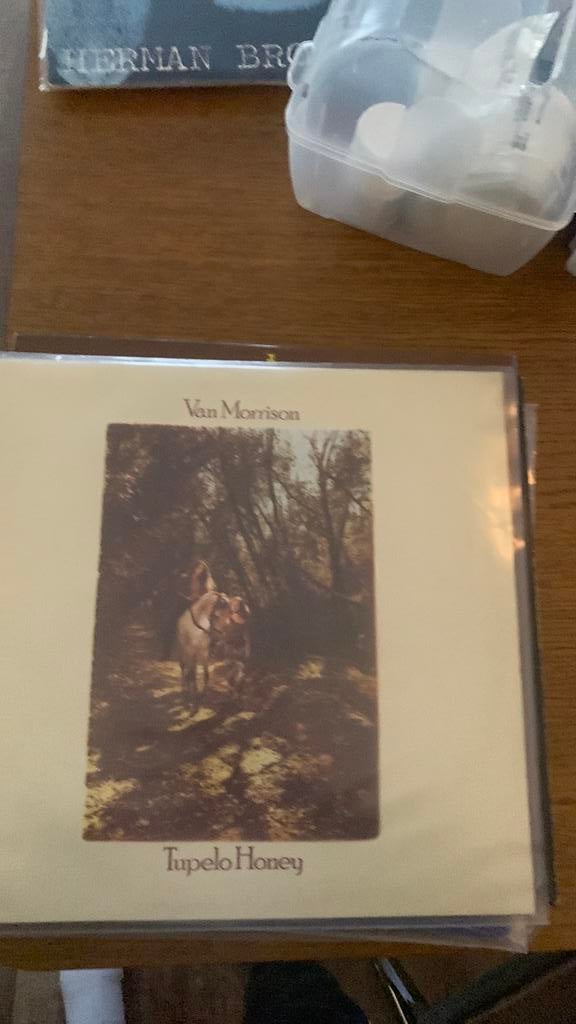 Van morrison - tupelo honey 2lp, Cd's en Dvd's, Vinyl | Rock, Verzenden, Zo goed als nieuw, 12 inch, Poprock