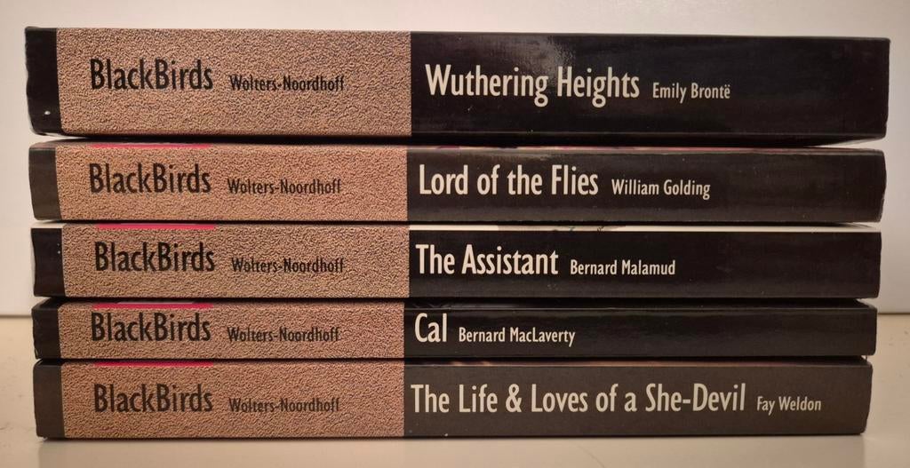 BlackBirds - Engels - lezen voor de lijst - boekenlijst, Boeken, Taal | Engels, Ophalen of Verzenden, Zo goed als nieuw