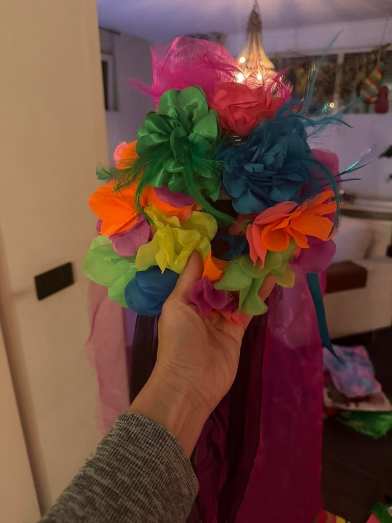 Diadeem, Ophalen of Verzenden, Zo goed als nieuw, Maat 34 (XS) of kleiner, Carnaval