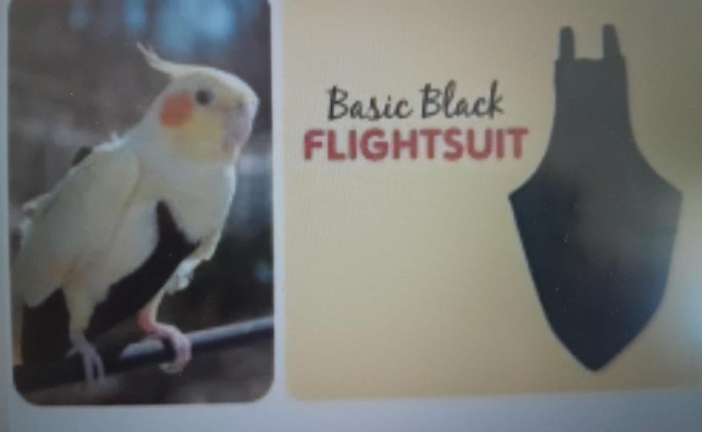 Gevraagd papegaaienluier, Dieren en Toebehoren, Vogels | Parkieten en Papegaaien, Parkiet